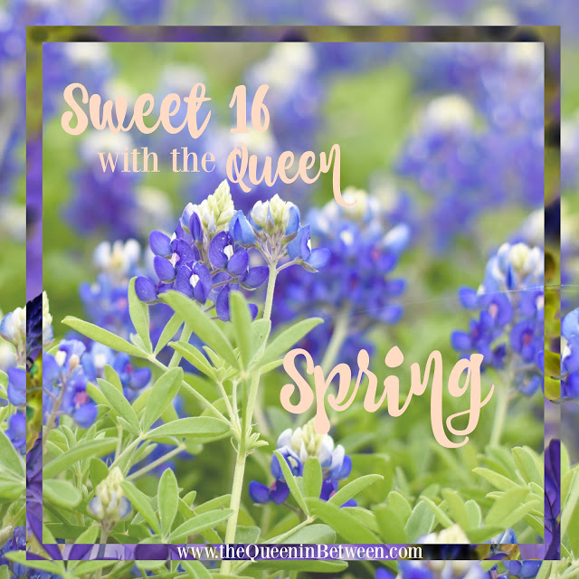 Sweet 16 – Spring