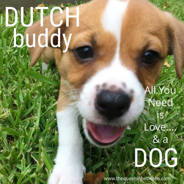 Show and Tell – Dutch Buddy