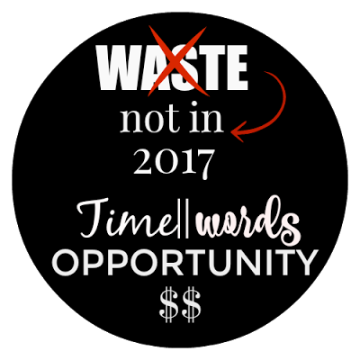 Waste Not in 2017 – Goals for Time, Money, Opportunity and Words