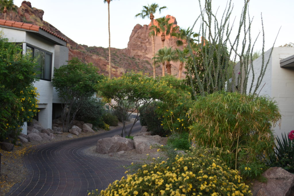 Scottsdale Arizona - Places to See