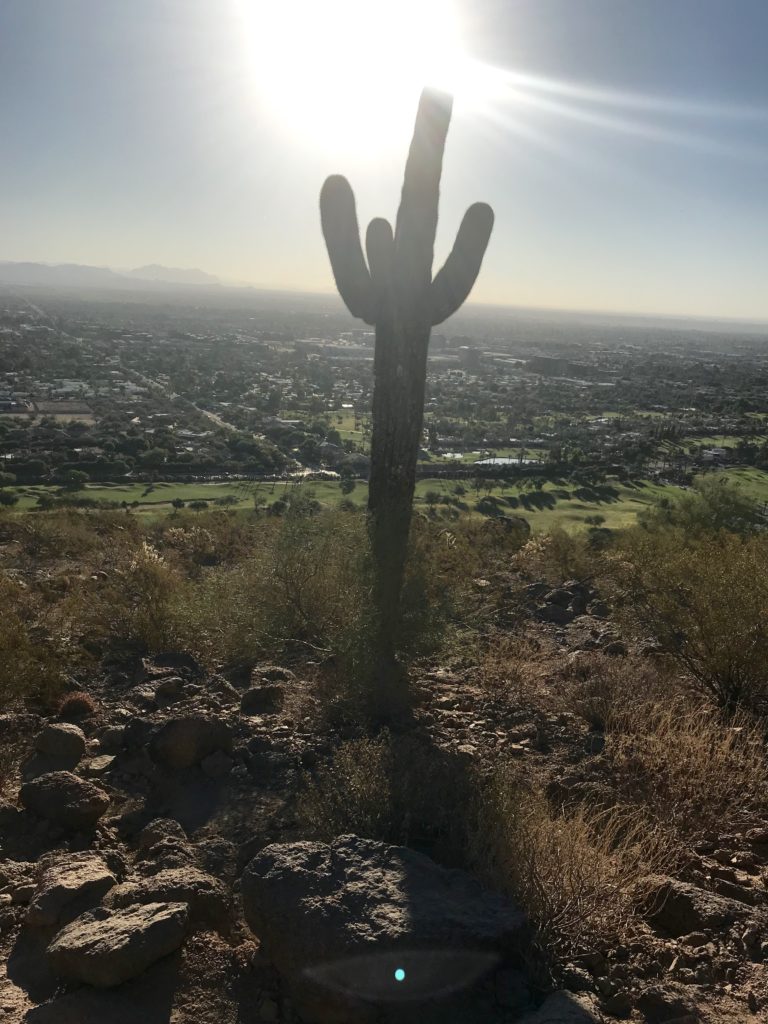 Scottsdale, Arizona - Places to See