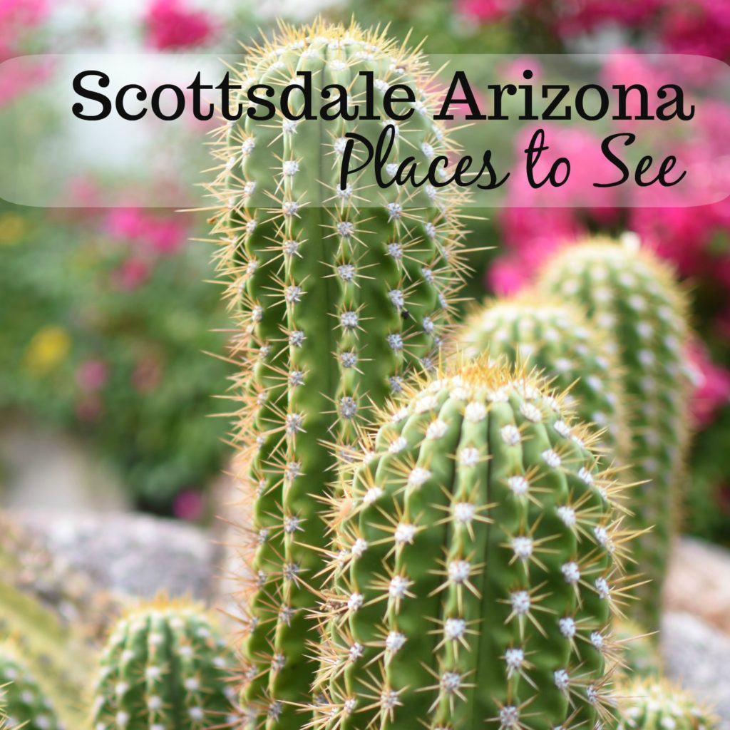 Visiting Scottsdale, Arizona