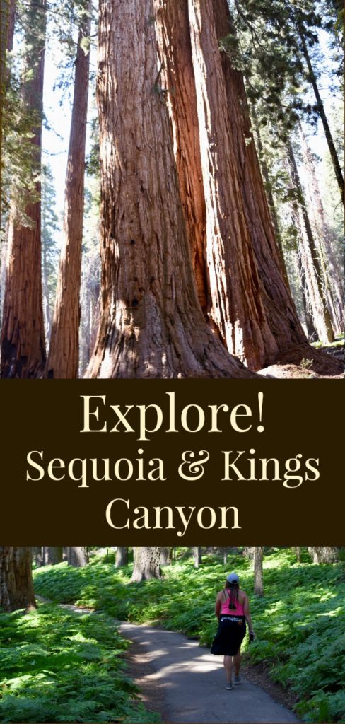 Explore Sequoia and Kings Canyon #California #vacation