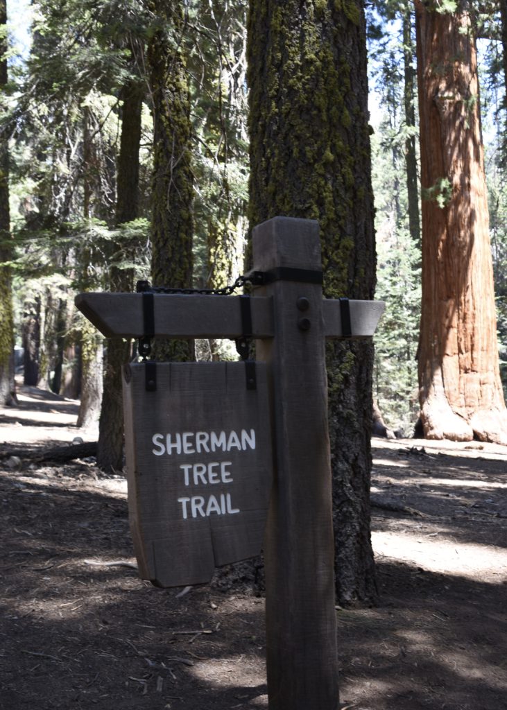 Sequoia National Forest #california #vacation