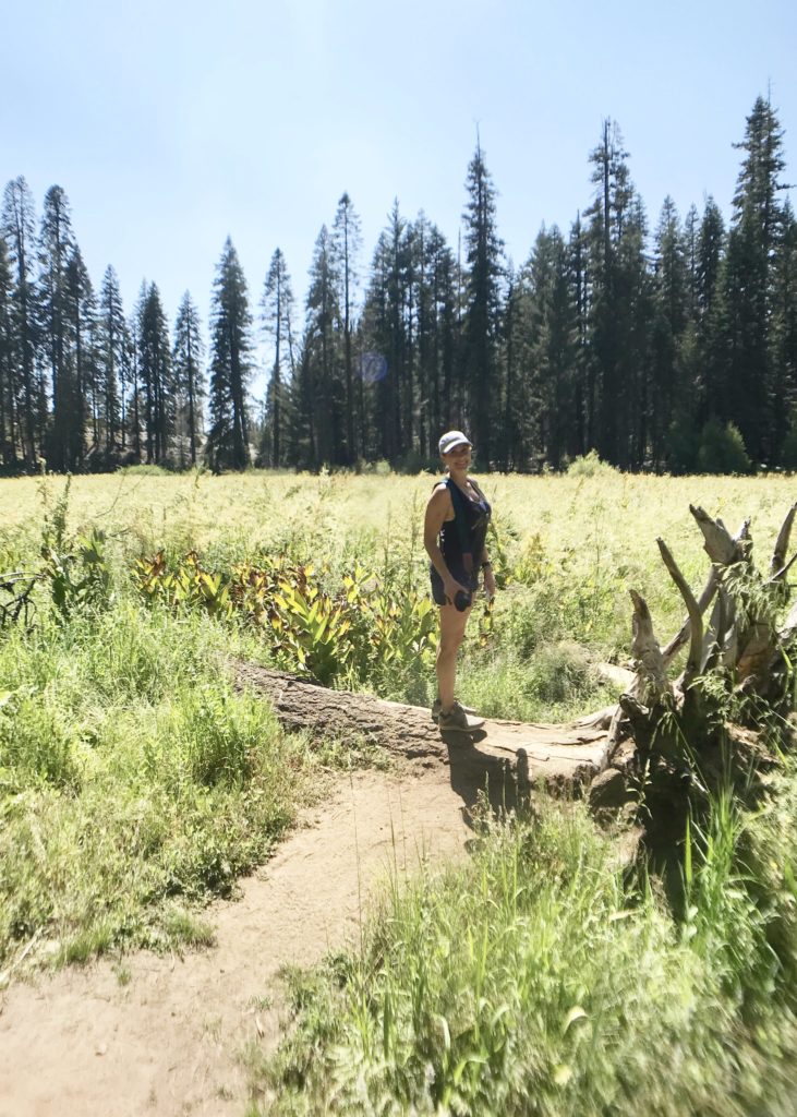 Sequoia National Forest #california #vacation