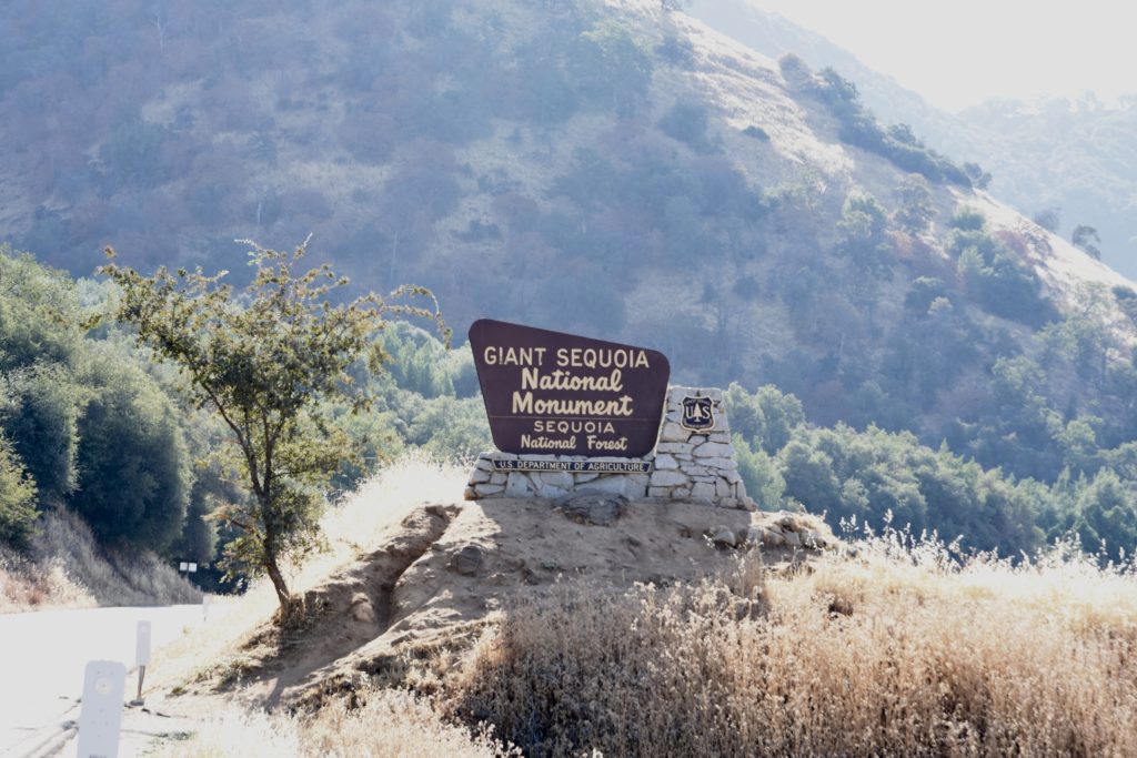 Sequoia National Forest #california #vacation