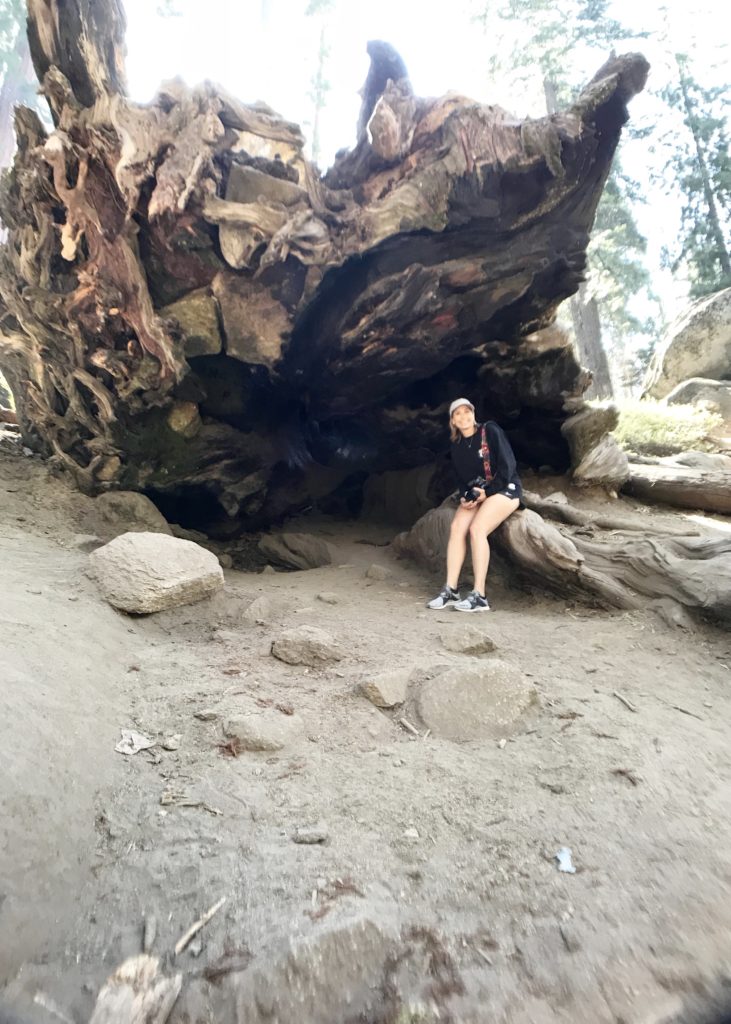 Sequoia National Forest #california #vacation