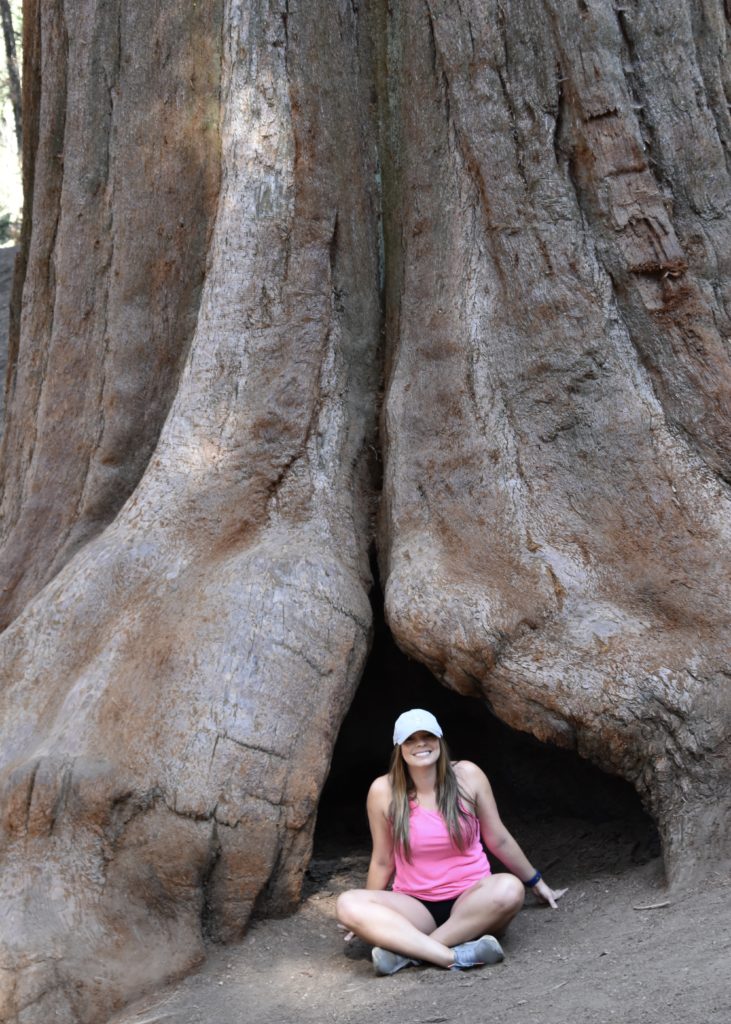 Sequoia National Forest #california #vacation