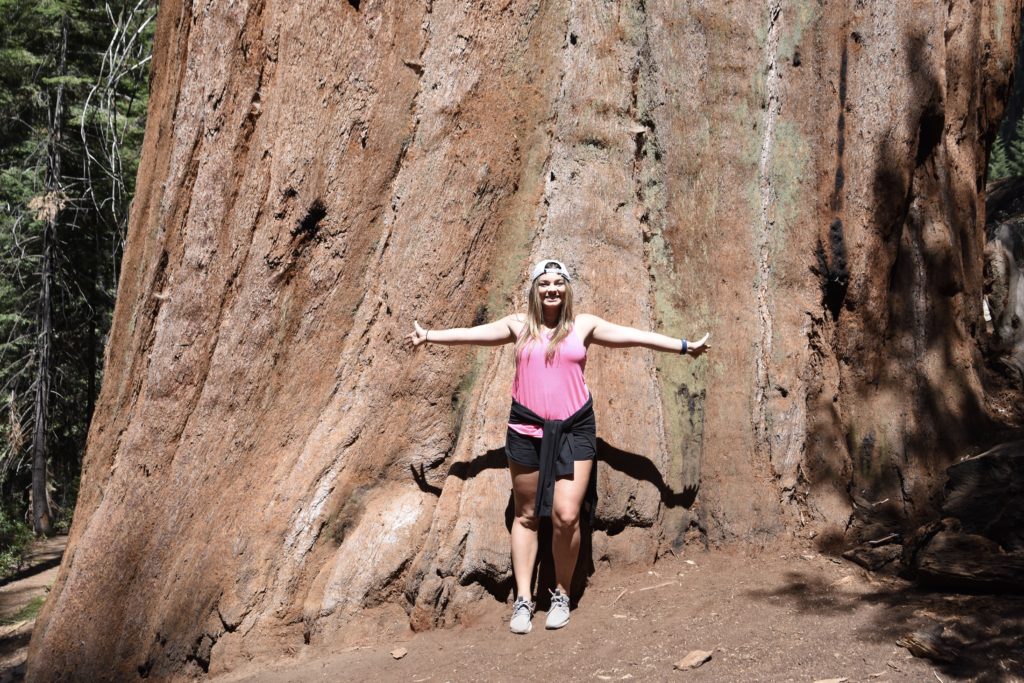 Sequoia National Forest #california #vacation