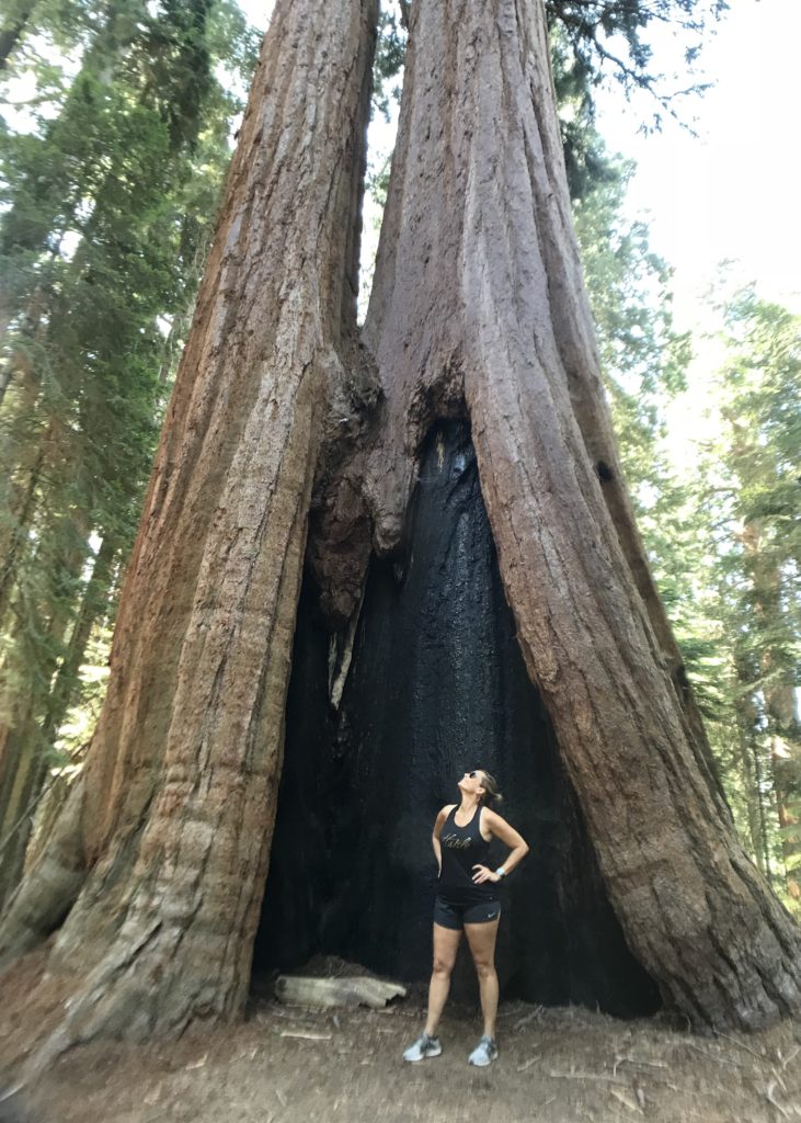 Sequoia National Forest #california #vacation