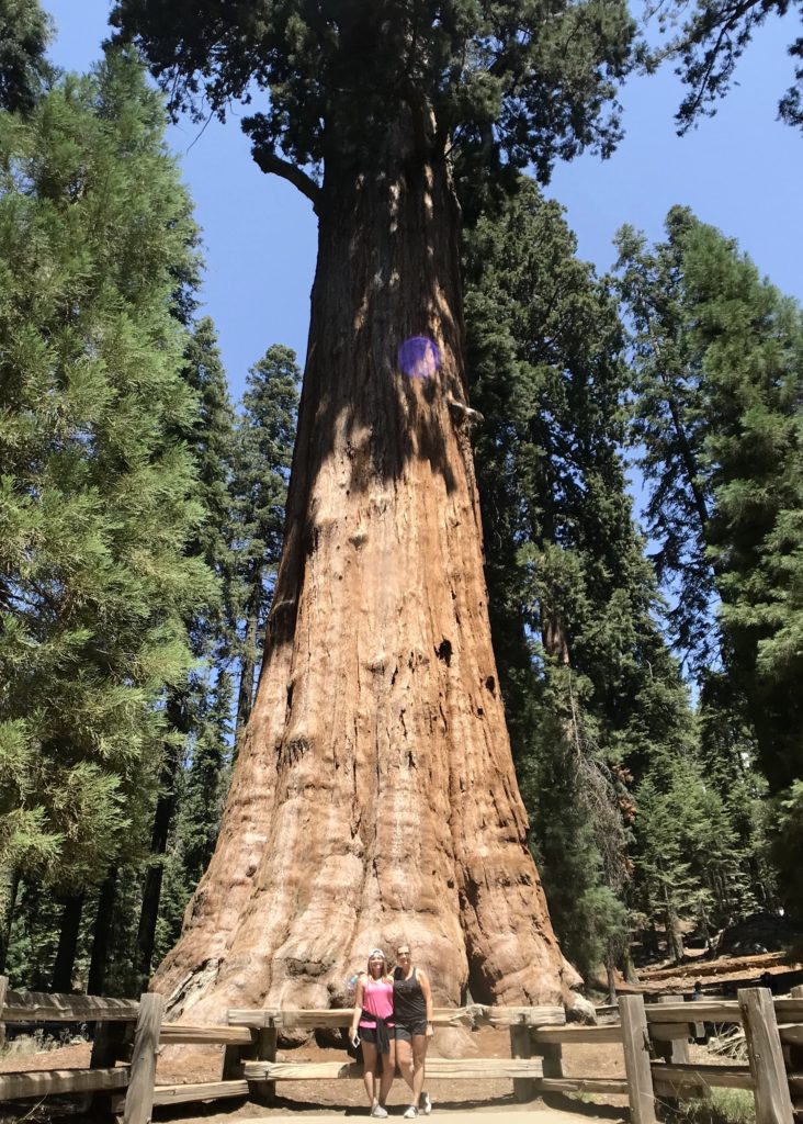 Sequoia National Forest #california #vacation