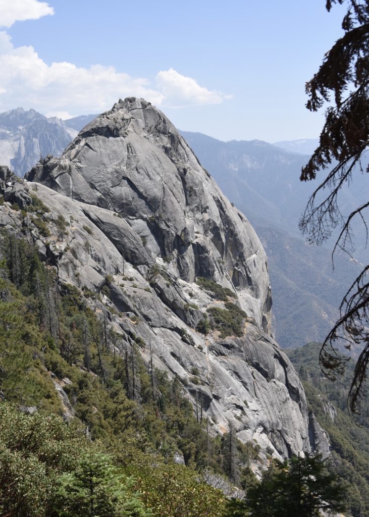 Sequoia National Forest #california #vacation