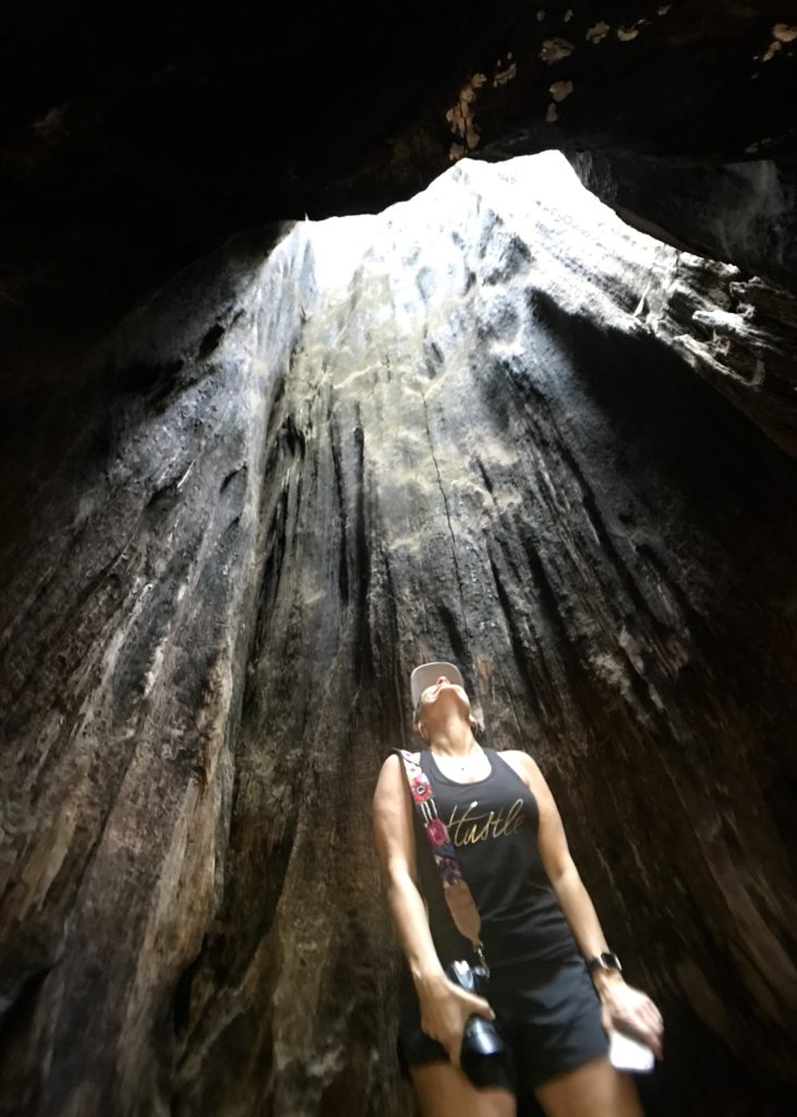 Sequoia National Forest #california #vacation