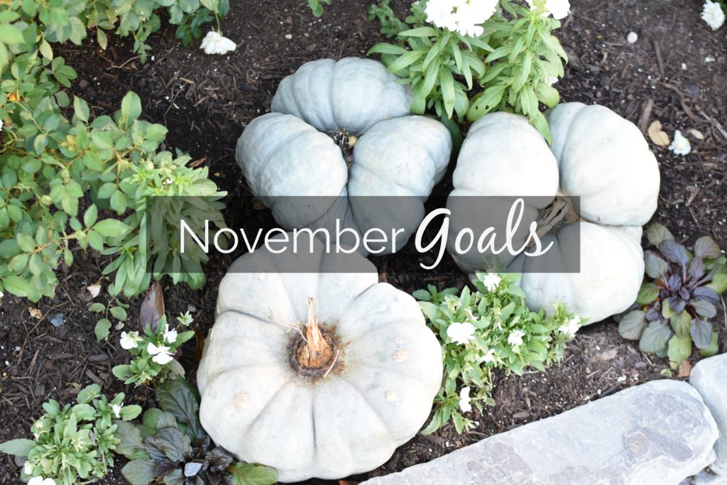 November Goals 