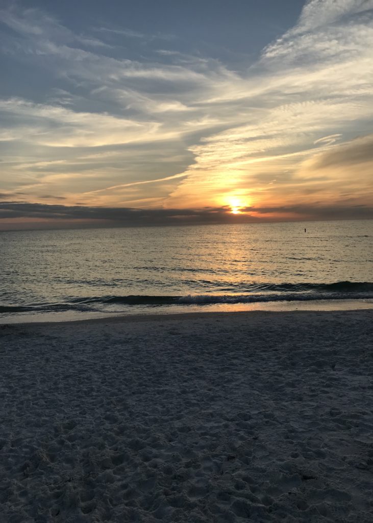 Anna Maria Island 2018