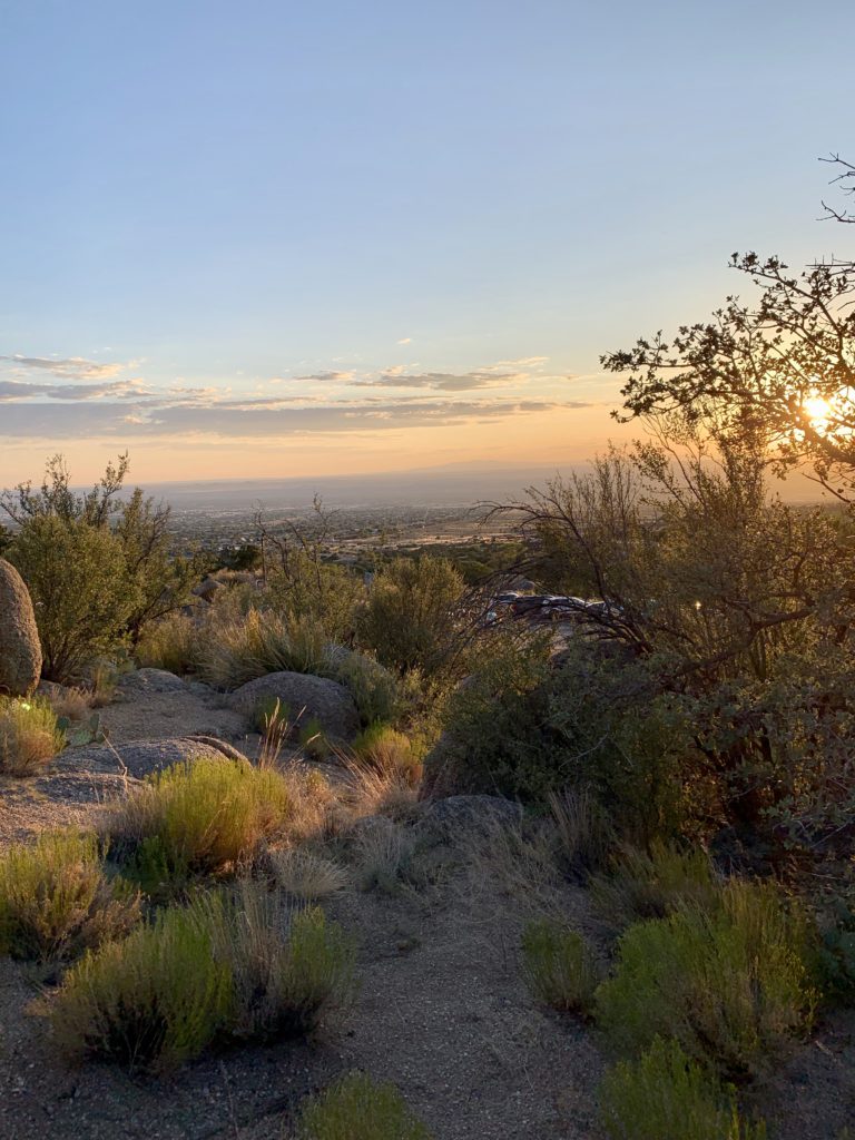 Albuquerque Roadtrip - Cibola National Forest #sunsets