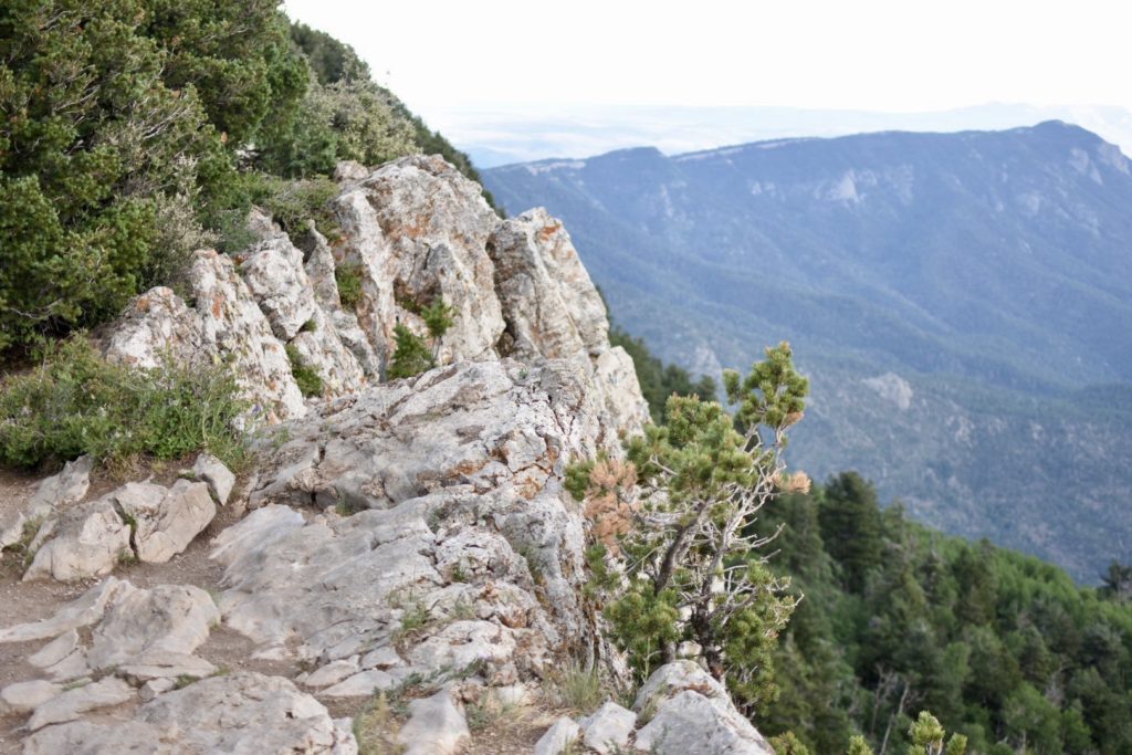 Albuquerque Roadtrip - Sandia Tramway 