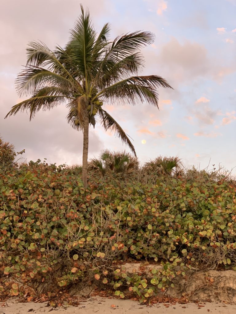 Carlin Park Beach