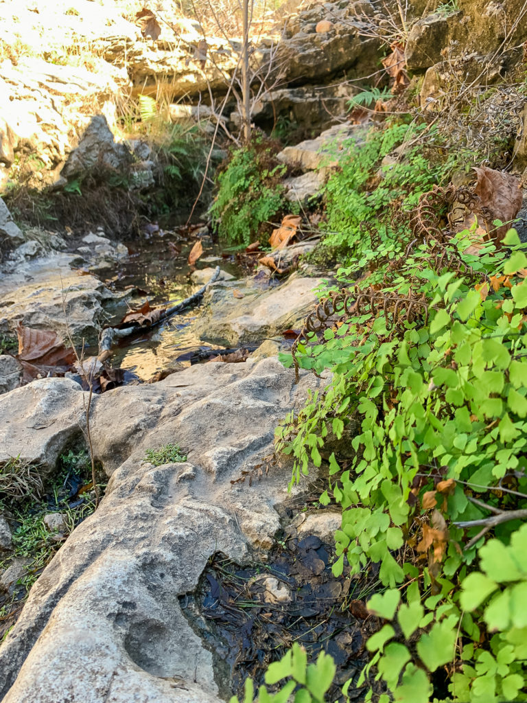 Reimers Ranch #austin #drippingsprings #hiking