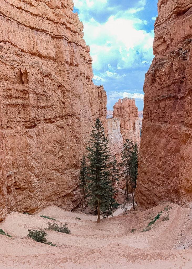 Bryce Canyon National Park #utah