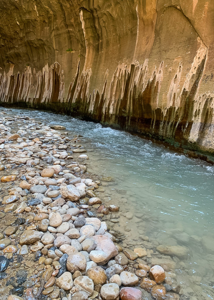 The Narrows at Zion National Park #utah