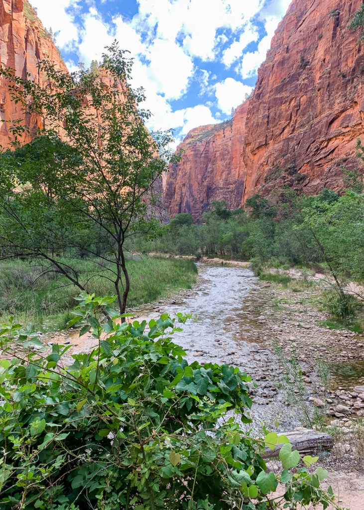 The Narrows at Zion National Park #utah