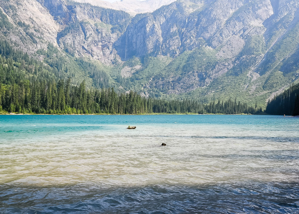 GNP - Avalanche Lake