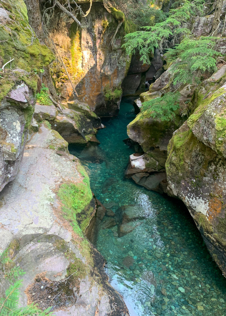 GNP Trail of the Cedars