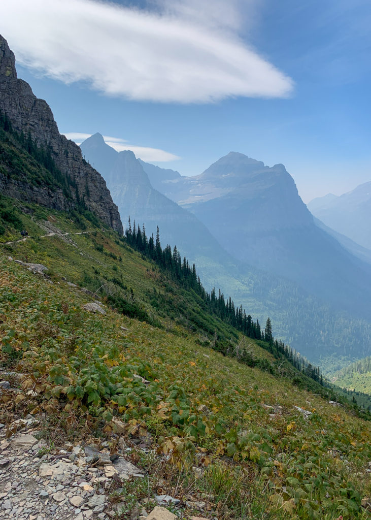 GNP - Highline Trail