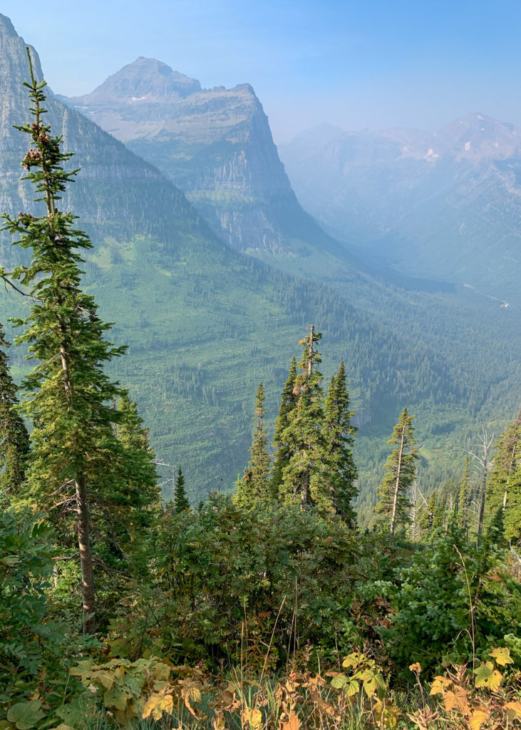 GNP - Highline Trail