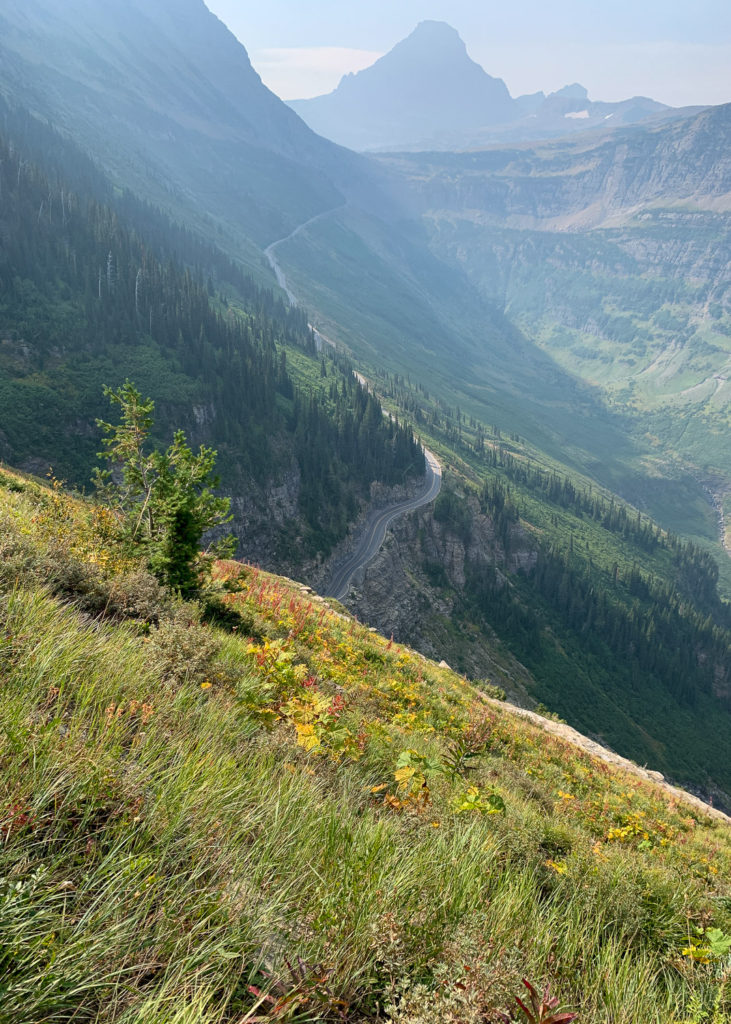 GNP - Highline Trail