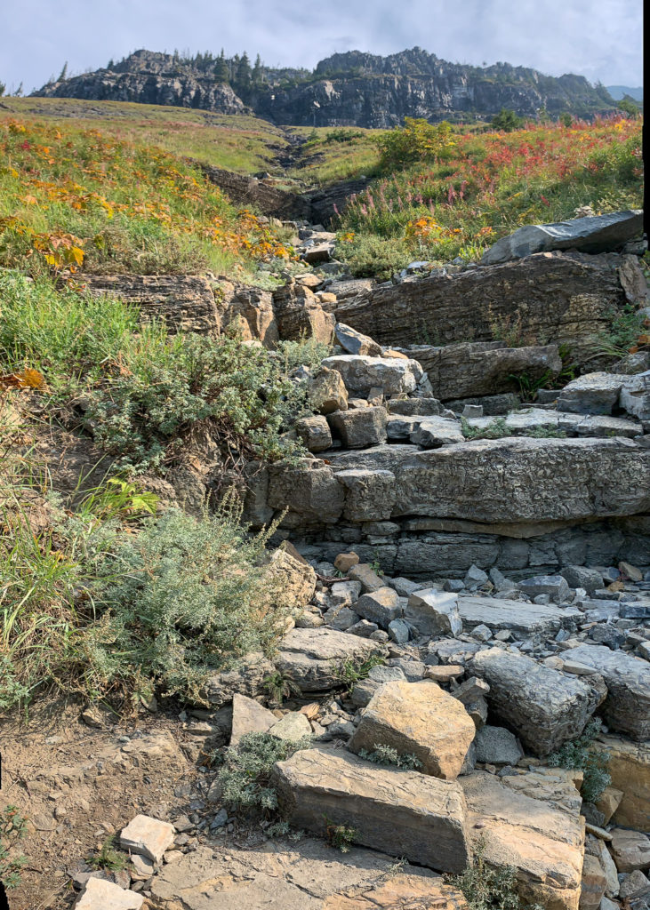 GNP - Highline Trail