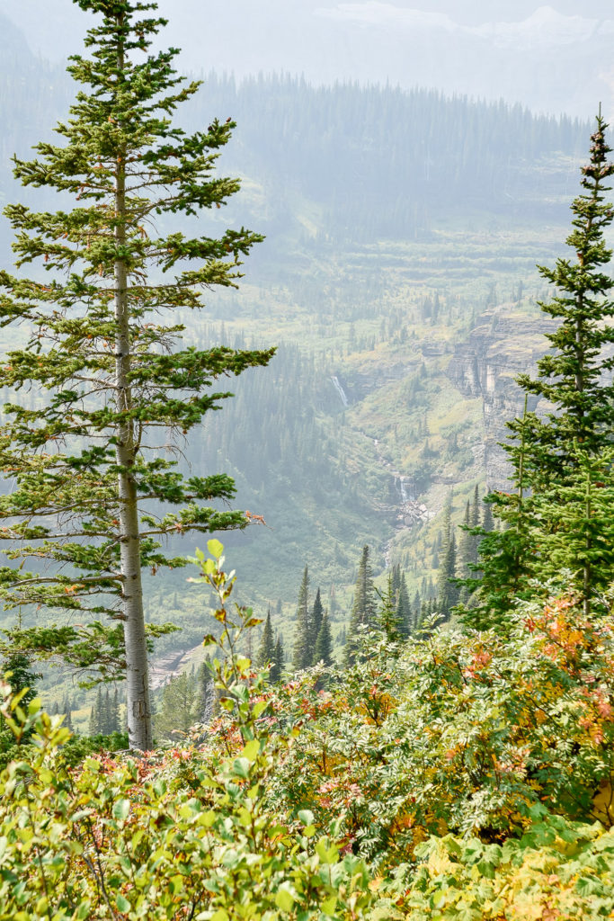 Glacier National Park #travel #montana