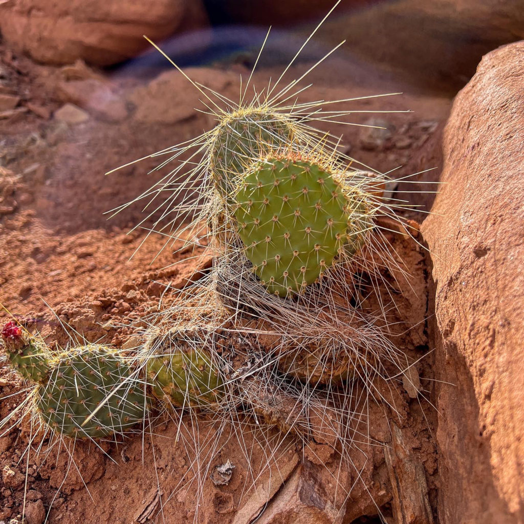 Devils Kitchen #coloradonationalmonument