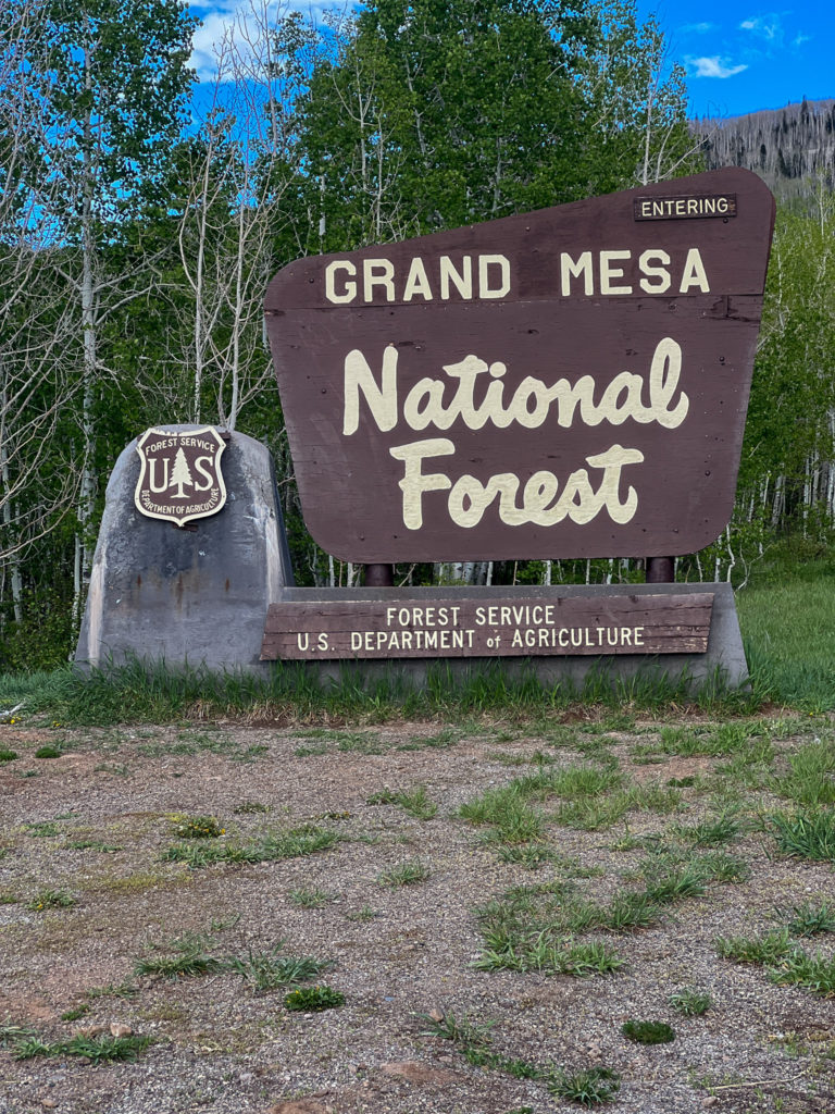 Grand Mesa National Forest #colorado