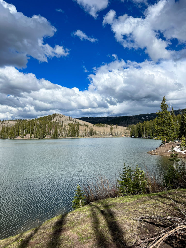 Grand Mesa National Forest #colorado