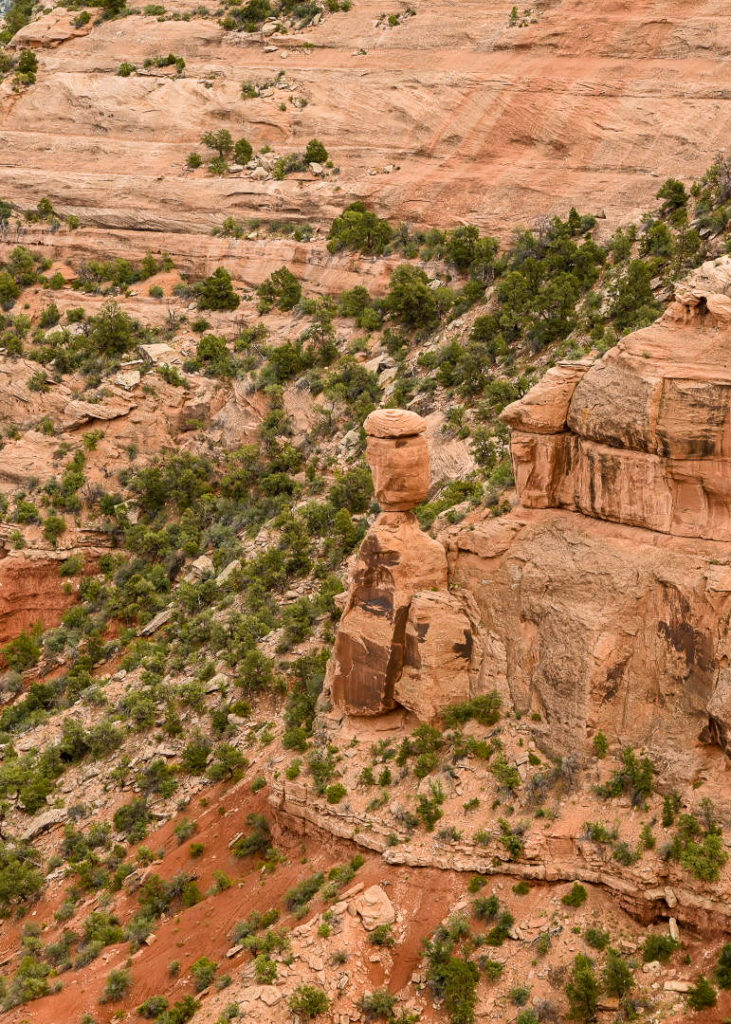 Balanced Rock #coloradonatiionalmonument