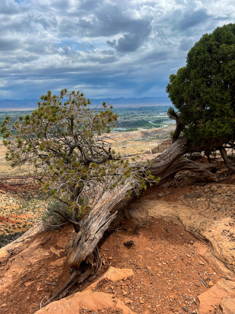 Colorado National Monument #hikecolorado #colorado