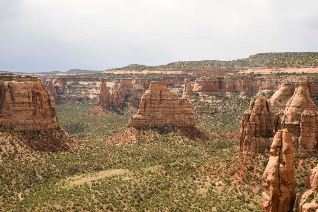 Colorado National Monument #hikecolorado #colorado