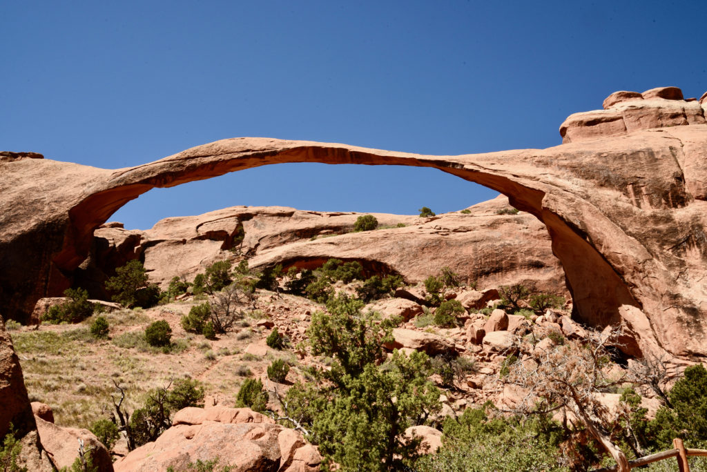 Arches National Park #utah #landscapearch