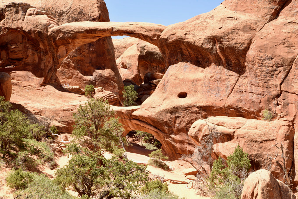 Arches National Park #utah #devilsgarden