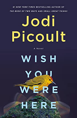 Wish You Were Here #goodreads #bookreview