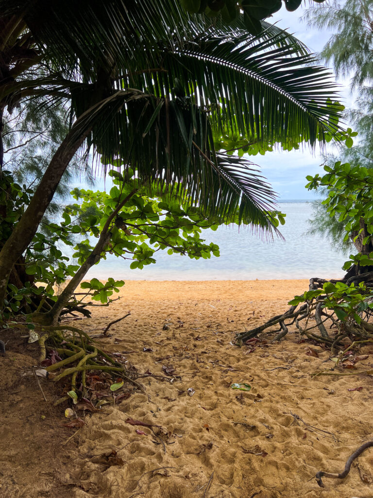 Anini Beach 