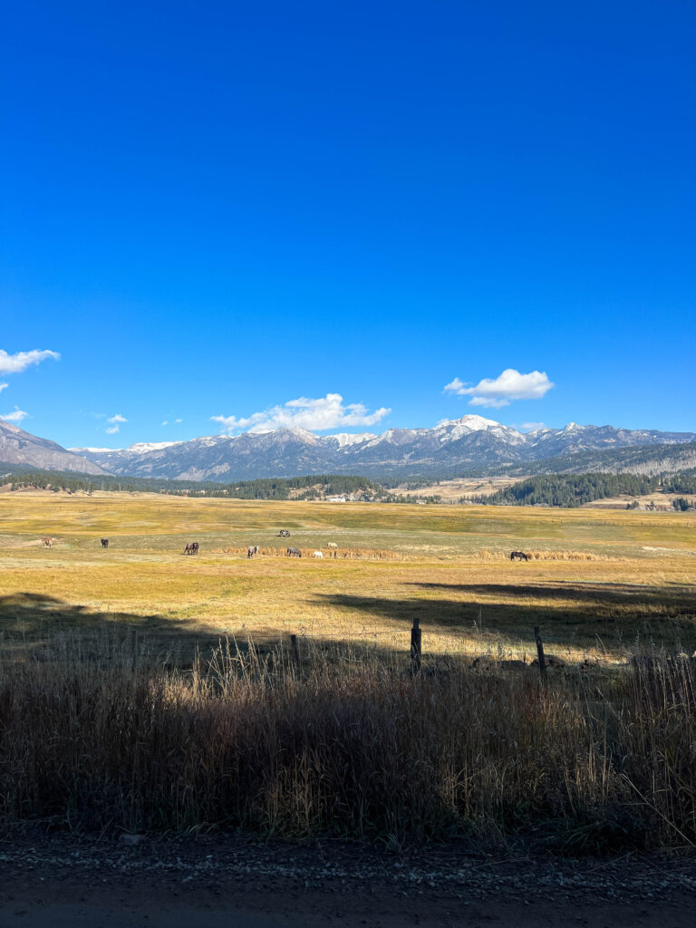 Pagosa Springs, Colorado #travel #colorado