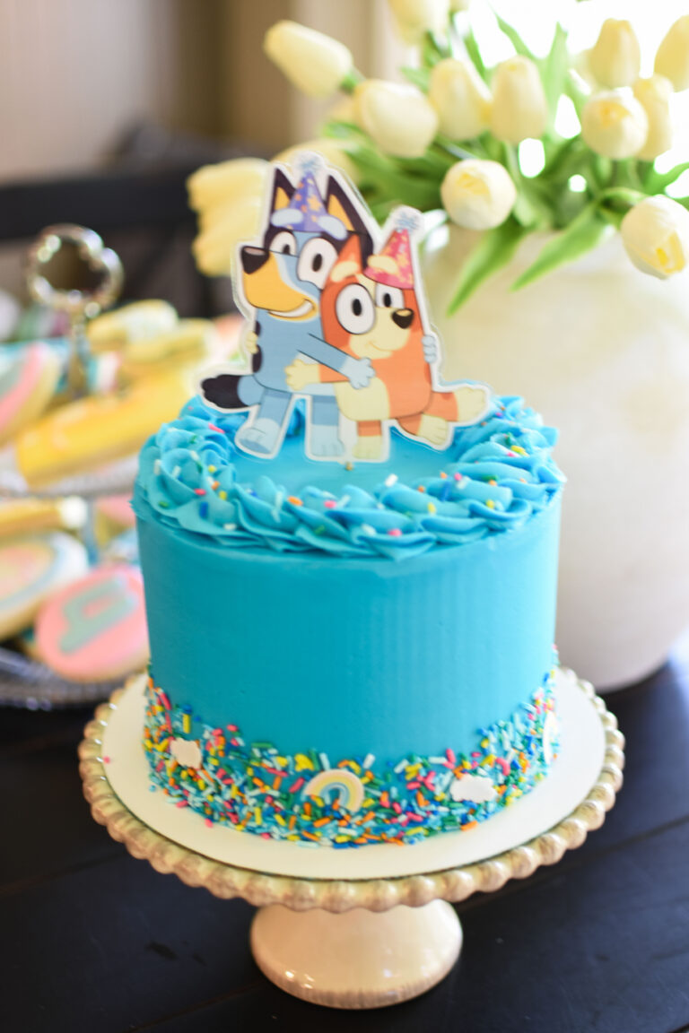 Bluey Birthday Party